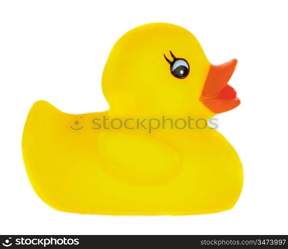 Yellow plastic duck a over white background
