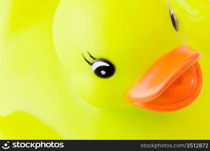 Yellow plastic duck a over white background