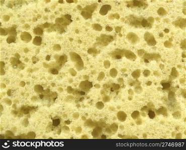 yellow porous surface texture. material