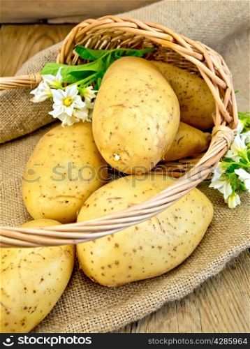 Yellow potato tubers with a flower in a wicker basket on a sacking on a wooden boards background