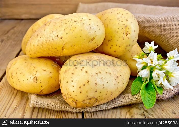 Yellow potato tubers with a flower on sacking on a wooden boards background