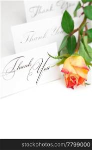 yellow red rose and a card with the words thank you isolated on white