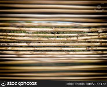 yellow reeds cut. Close up image of a lined reeds that generate optical effect