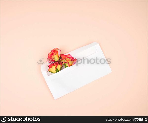 yellow rose buds and a white paper envelope on a peach background, top view, flat lay