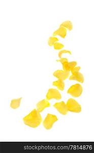 Yellow rose petals on the white background