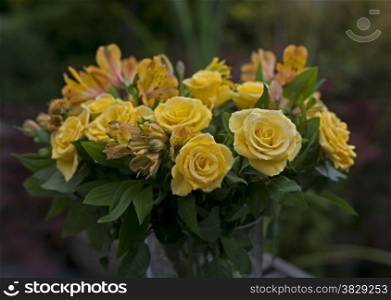 yellow roses and green leaves in a vase