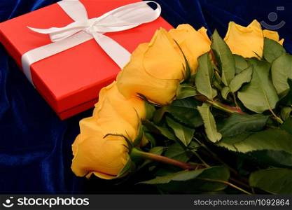 Yellow roses on a blue background and a gift for your loved one