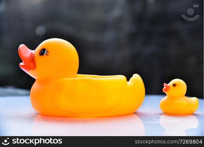 Yellow rubber duck