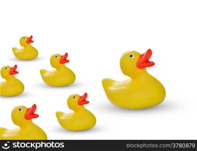 yellow rubber duck and ducklings isolated on white