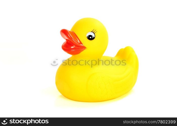 yellow rubber duck bath flat on white background