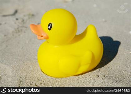 yellow rubber duck toy in the sand