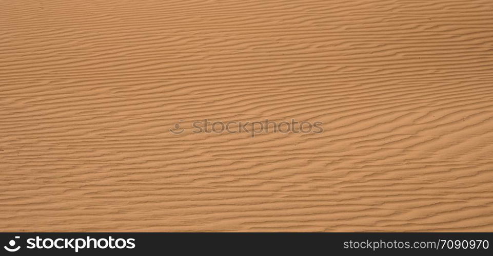 Yellow sand dunes in the desert.