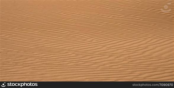 Yellow sand dunes in the desert.