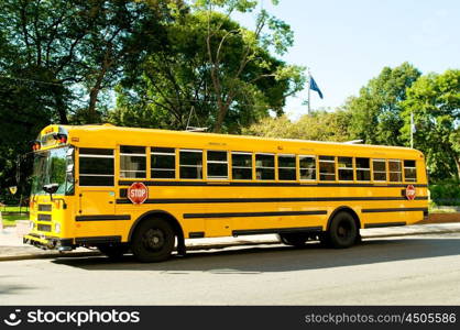 Yellow school bus on the street