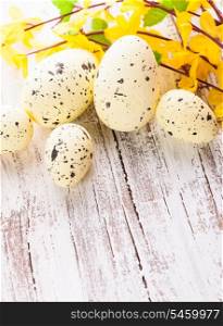 Yellow spotted eggs with forsythia flowers on the shabby wooden table