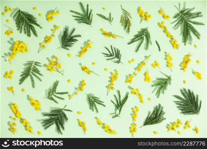 Yellow spring mimosa flowers on green background. Top view, flat lay