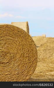 Yellow Straw Bales in a Field at end of Summer at Day with Clouds Blue Sky after Harvest