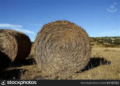 Yellow straw round bale in the fields, Spain