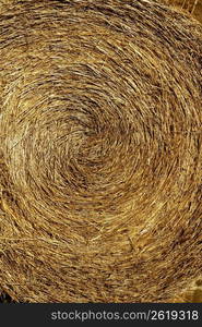 Yellow straw round bale, macro texture golden background