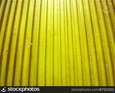 yellow striped rubber as a background