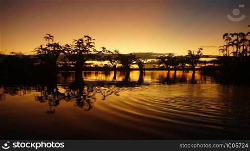 Yellow sunset in the flooded forest inside Cuyabeno lagoon in the Ecuadorian Amazon