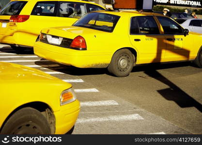 Yellow taxis on a road, Times Square, Manhattan, New York City, New York State, USA