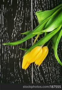 yellow tulip flowers bouquet on wooden background. Yellow Tulip Flowers