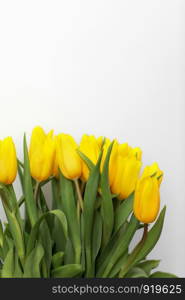 Yellow tulip flowers isolated on white background, for your creative design and decoration. Yellow tulips isolated on white. Yellow tulip flowers isolated on white background, for your creative design and decoration