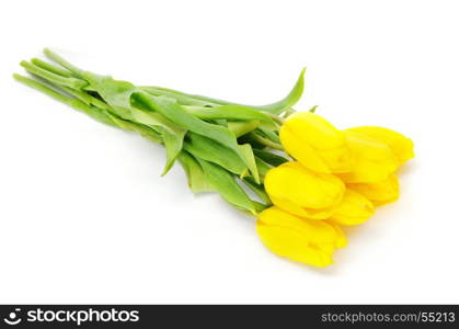 Yellow tulips on white background