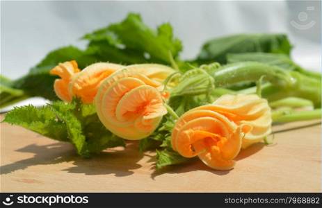 Yellow zucchini blossoms, leaves and tendril on wooden cutting board