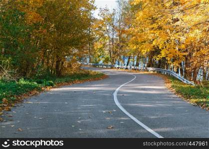 yellowed and reddened leaves of trees, the road in the autumn forest. the road in the autumn forest, yellowed and reddened leaves of trees