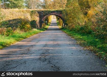 yellowed trees in autumn along the road, old arched overpass over the road. old arched overpass over the road, yellowed trees in autumn along the road