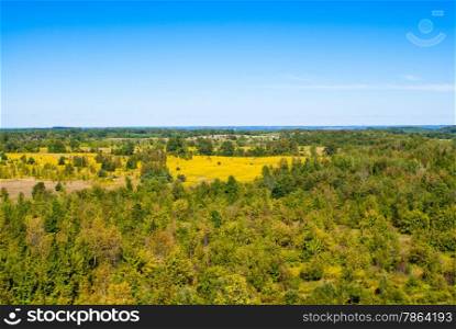 Yellowing autumn landscape and forests against blue sky.
