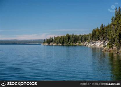 Yellowstone Lake with forest landscape, Wyoming, USA