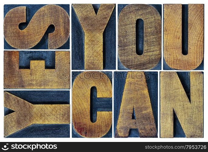 Yes you can - motivational slogan - isolated text in vintage grunge letterpress wood type printing block, rectangular layout