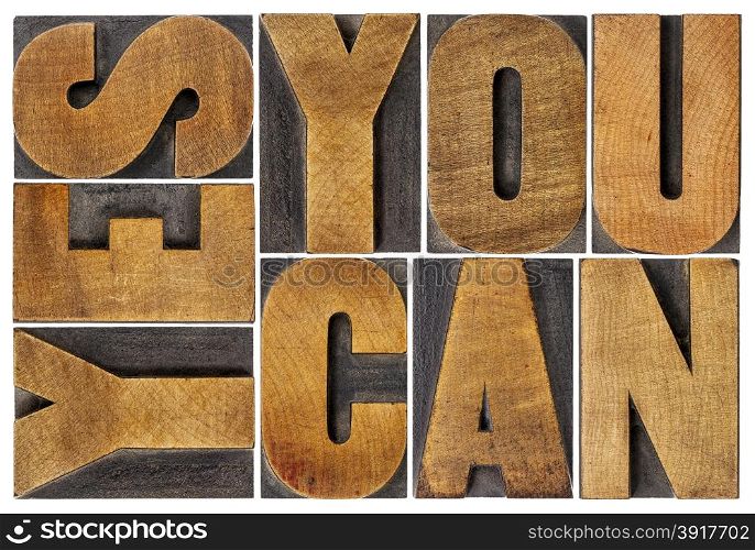 Yes you can - motivational slogan - isolated text in vintage letterpress wood type printing block, rectangular layout