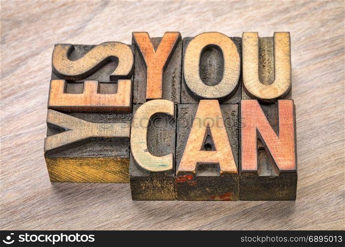 yes, you can - motivational word abstract in vintage letterpress wood type blocks