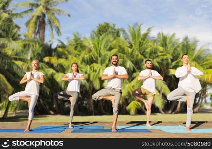 yoga, fitness, sport and recreation concept - group of people in tree pose on mats outdoors. people making yoga in tree pose on mats outdoors