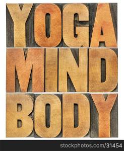 yoga, mind, body word abstract - isolated text in letterpress wood type printing blocks