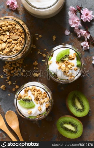 Yogurt parfait with fresh kiwi and crunchy almond and oatmeal granola in glasses with ingredients on the side, photographed overhead on slate with natural light (Selective Focus, Focus on the top of the parfait)