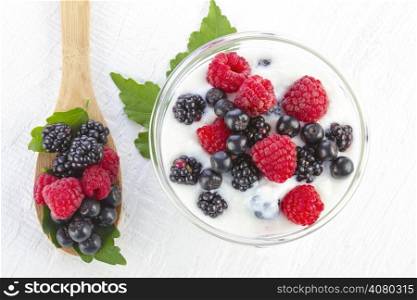 yogurt with forest berries in bowl on white wooden background
