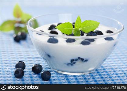 yogurt with fresh blueberry