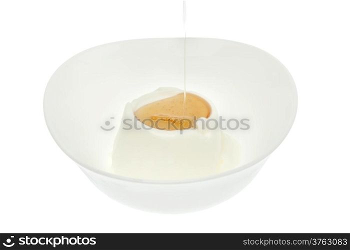 Yogurt with honey in bowl isolated on white background