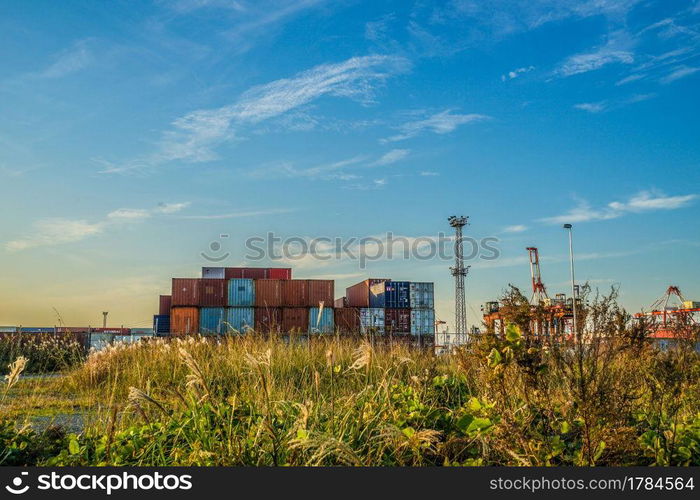 Yokohama Port of container group and the evening. Shooting Location  Yokohama-city kanagawa prefecture