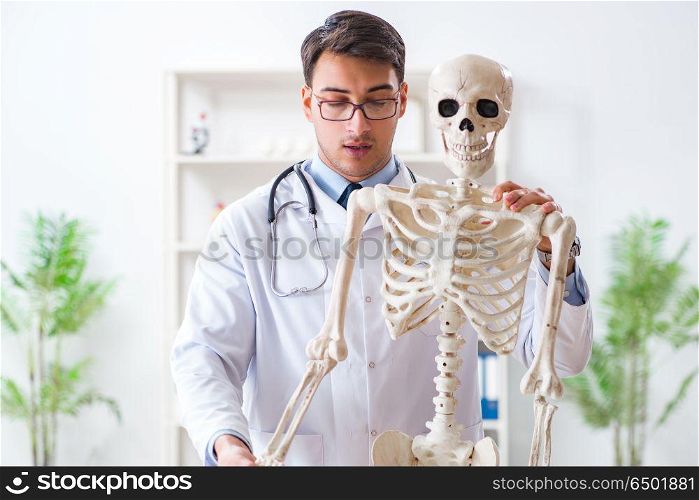 Yong male doctor with skeleton isolated on white