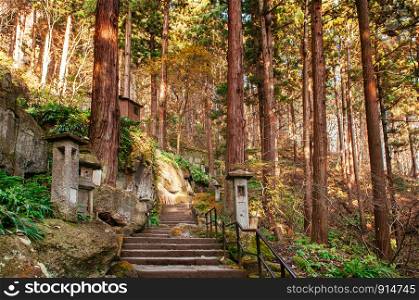 Yonsunmichi path in pine forest with evening light Sun flare at Yamadera Risshaku ji temple in autumn. Yamagata, Japan