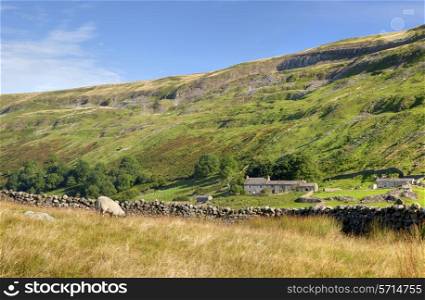 Yorkshire Dales showing cottage and sheep, England.