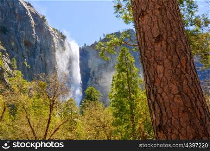 Yosemite Bridalveil fall waterfall National Park California