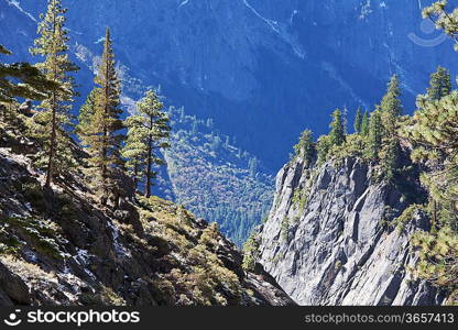 Yosemite landscapes