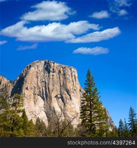 Yosemite National Park El Capitan California USA